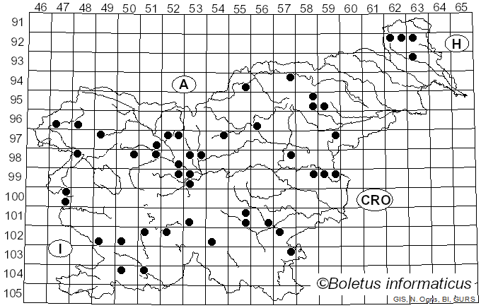 <i>Clavaria fragilis</i> Holmsk. (1790)