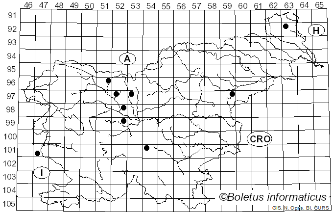 <i>Geastrum fornicatum</i> (Huds.) Hook. (1821)