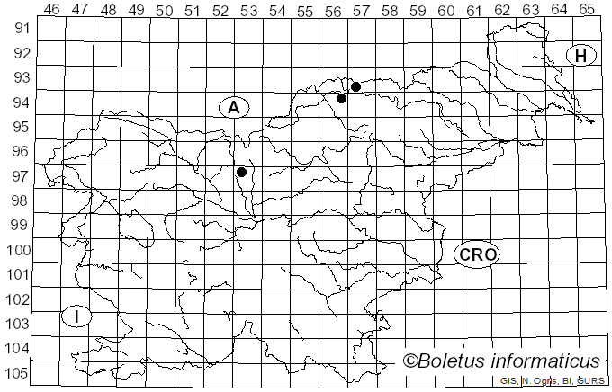 <i>Microstroma</i> Niessl (1861)