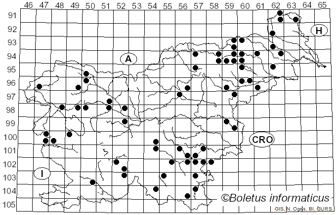 <i>Crepidotus applanatus</i> (Pers.) P. Kumm. (1871)