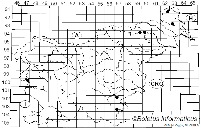 <i>Chlorophyllum brunneum</i> (Farl. & Burt) Vellinga (2002)