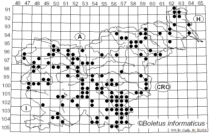 <i>Chlorociboria</i> Seaver ex C.S. Ramamurthi, Korf & L.R. Batra (1958)
