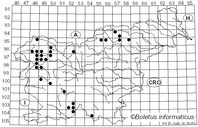<i>Lecanora allophana</i> (Ach.) Nyl. (1872)