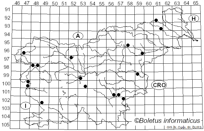<i>Cortinarius cephalixus</i> Secr. ex Fr. (1838)
