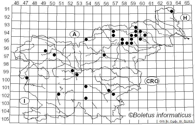 <i>Inocybe umbratica</i> Quél. (1883)