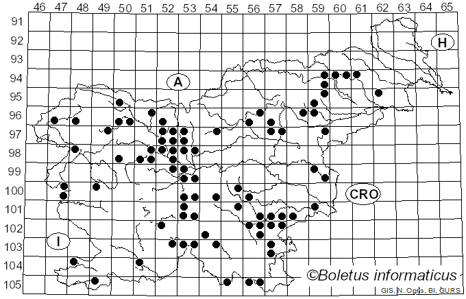 <i>Pseudoclitocybe cyathiformis</i> (Bull.) Singer (1956)