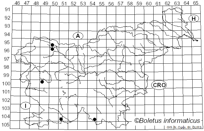 <i>Scopuloides</i> (Massee) Höhn. & Litsch. (1908)