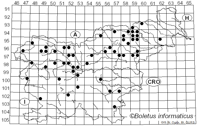 <i>Gomphidius maculatus</i> (Scop.) Fr.