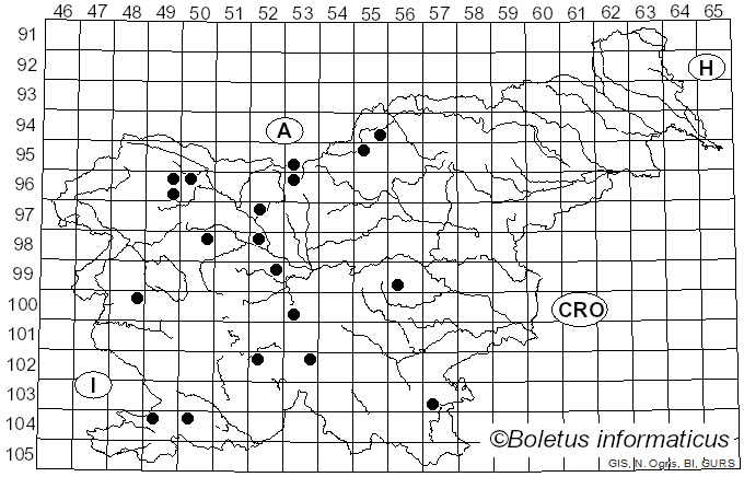 <i>Sebacina calcea</i> (Pers.) Bres. (1898)