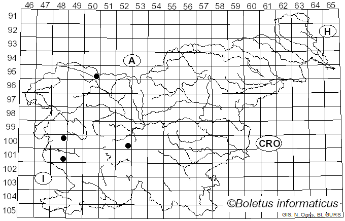 <i>Geotrichum</i> Link (1809)