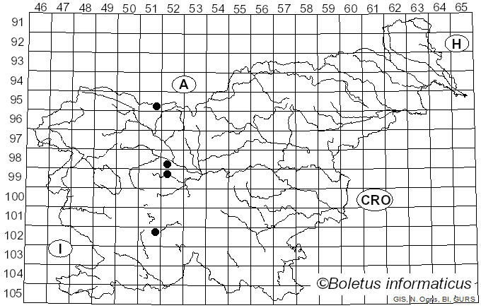 <i>Montagnellina stellaris</i> (Pers.) Theiss. & Syd. (1915)