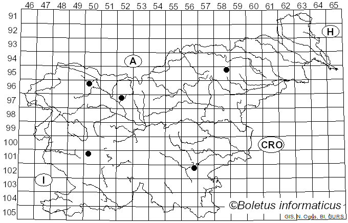 <i>Capitotricha</i> (Raitv.) Baral (1985)