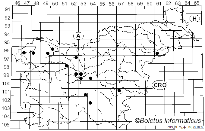 <i>Trichoglossum</i> Boud. (1885)