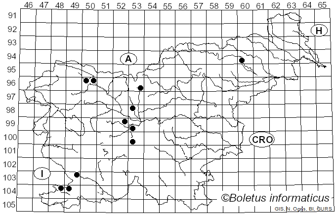 <i>Didymium</i> Schrad. (1797)