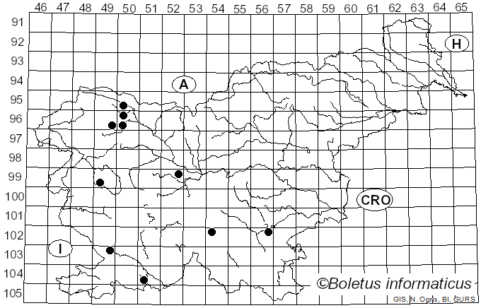 <i>Auriporia</i> Ryvarden (1973)
