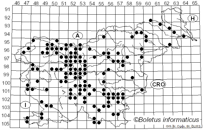 <i>Morchella</i> Dill. ex Pers. (1794)