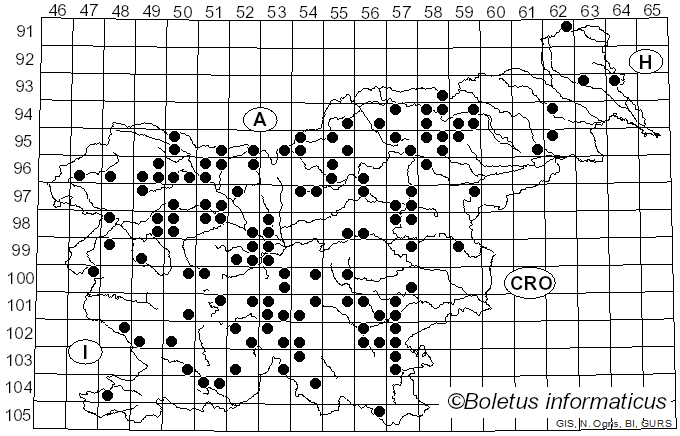 <i>Lactarius picinus</i> Fr. (1838)