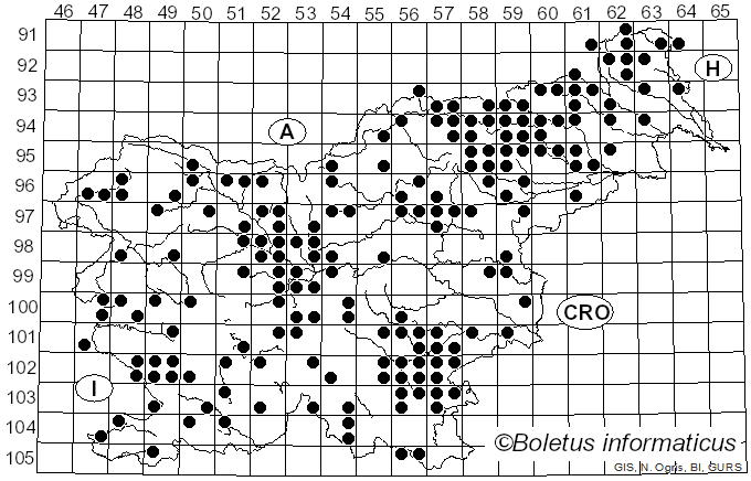 <i>Gymnopilus</i> P. Karst. (1879)