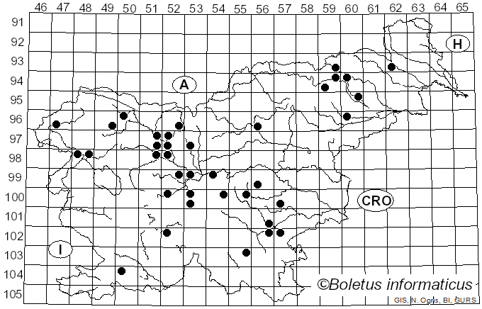<i>Lyomyces sambuci</i> (Pers.) P. Karst. (1882)