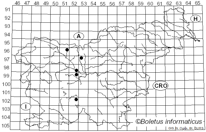 <i>Sphaerulina</i> Sacc. (1878)