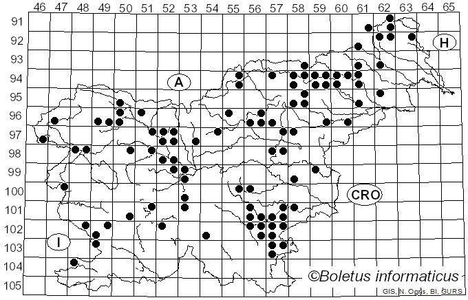 <i>Otidea onotica</i> (Pers.) Fuckel (1869)