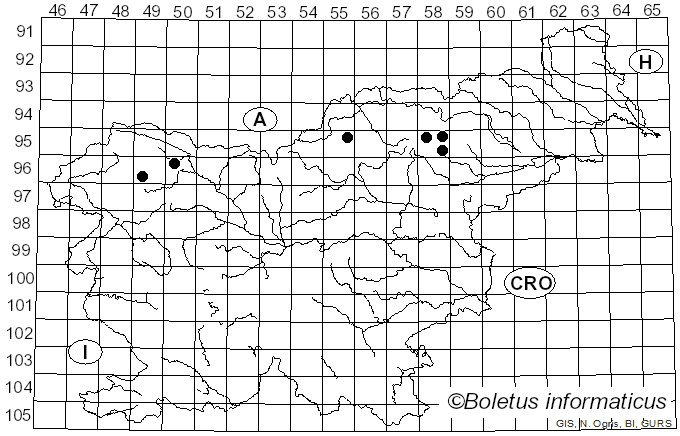 <i>Cyphelium</i> Ach. (1815)