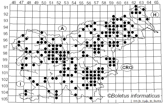 <i>Mucidula mucida</i> (Schrad.) Pat. (1887)