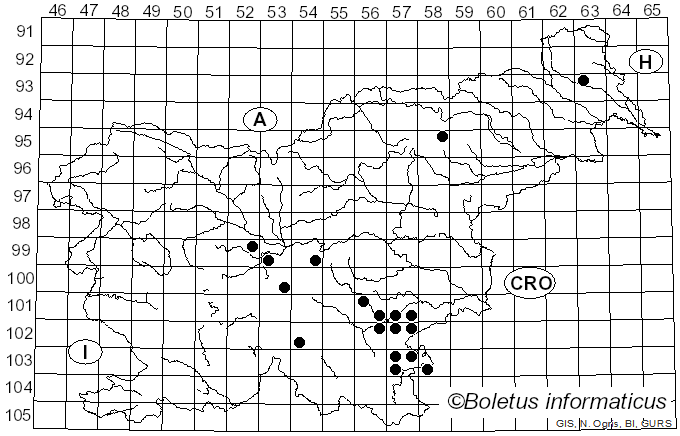 <i>Amanita contui</i> Bon & Courtec. (1989)