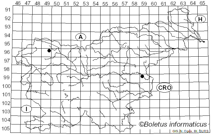 <i>Entoloma querquedula</i> (Romagn.) Noordel. (1982)