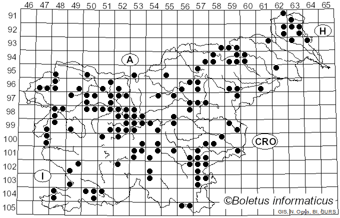 <i>Cuphophyllus virgineus</i> (Wulfen) Kovalenko (1989)