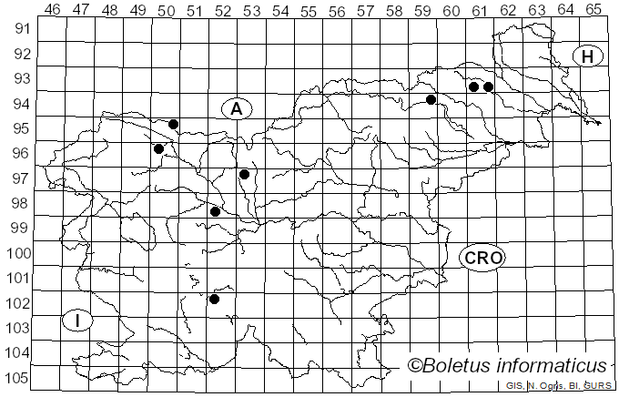 <i>Melogramma spiniferum</i> (Wallr.) De Not. (1863)