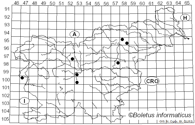<i>Phellinus chrysoloma</i> (Fr.) Donk (1971)