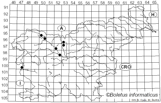 <i>Valsaria insitiva</i> (Tode) Ces. & De Not. (1863)