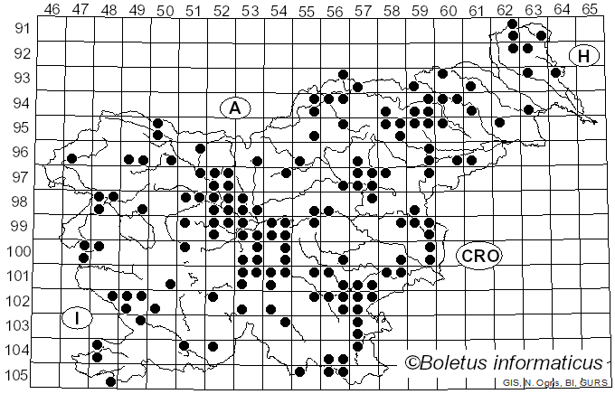 <i>Tricholoma sejunctum</i> (Sowerby) Quél. (1872)