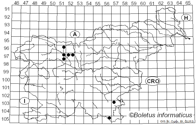 <i>Ramaria flavosalmonicolor</i> Schild (1990)