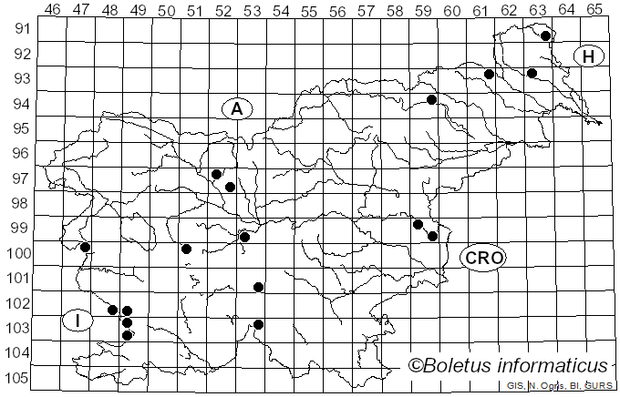 <i>Lepista luscina</i>
