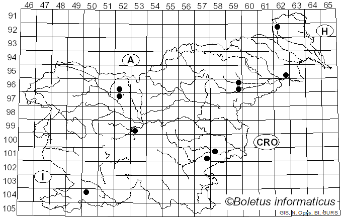 <i>Pleurotus calyptratus</i> (Lindblad) Sacc. (1887)