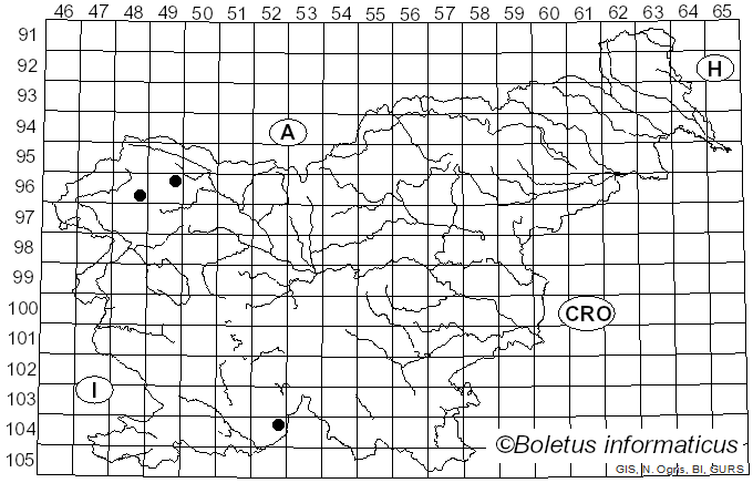 <i>Caloplaca sinapisperma</i> (Lam.) Maheu & A. Gillet (1914)