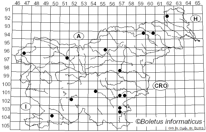 <i>Phaeoclavulina</i> Brinkmann (1897)