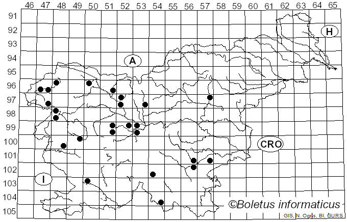 <i>Phellinopsis conchata</i> (Pers.) Y.C. Dai (2010)