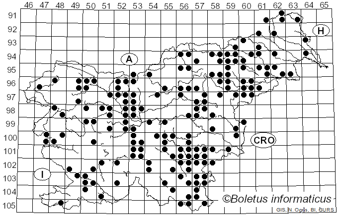 <i>Cyathus striatus</i> (Huds.) Willd. (1787)