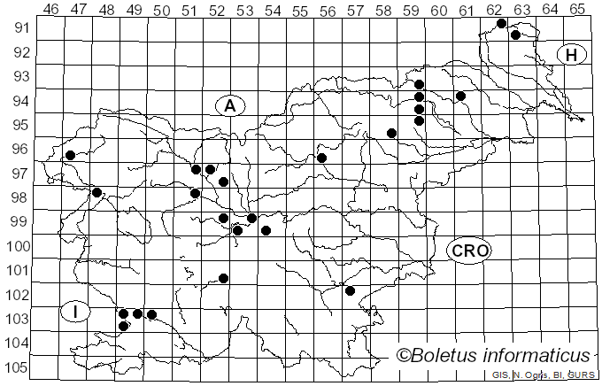 <i>Gloeoporus taxicola</i> (Pers.) Gilb. & Ryvarden (1985)
