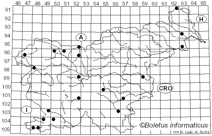 <i>Resupinatus</i> Nees ex Gray (1821)