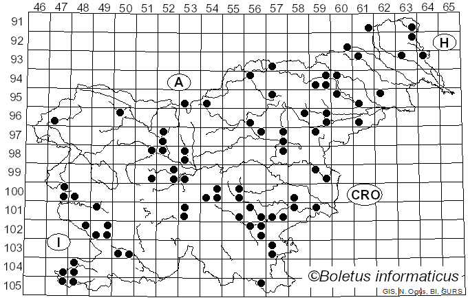 <i>Volvopluteus gloiocephalus</i> (DC.) Vizzini, Contu & Justo (2011)