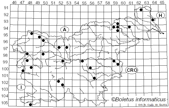 <i>Diatrype bullata</i> (Hoffm.) Fr. (1849)