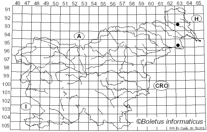<i>Cystolepiota pulverulenta</i> (Huijsman) Vellinga (1992)