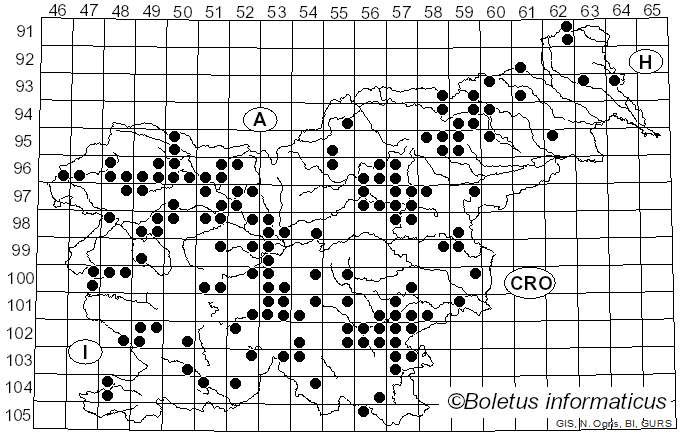 <i>Russula queletii</i> Fr. (1872)