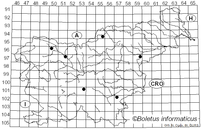 <i>Entoloma corvinum</i> (Kühner) Noordel. (1982)