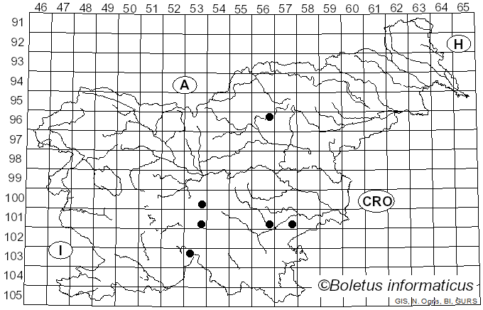 <i>Cortinarius adalbertii</i> J. Favre ex M.M. Moser (1980)