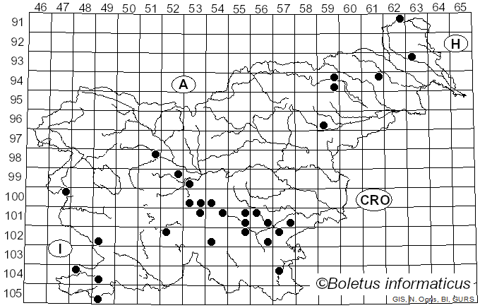 <i>Aureoboletus moravicus</i> (Vaček) Klofac (2010)